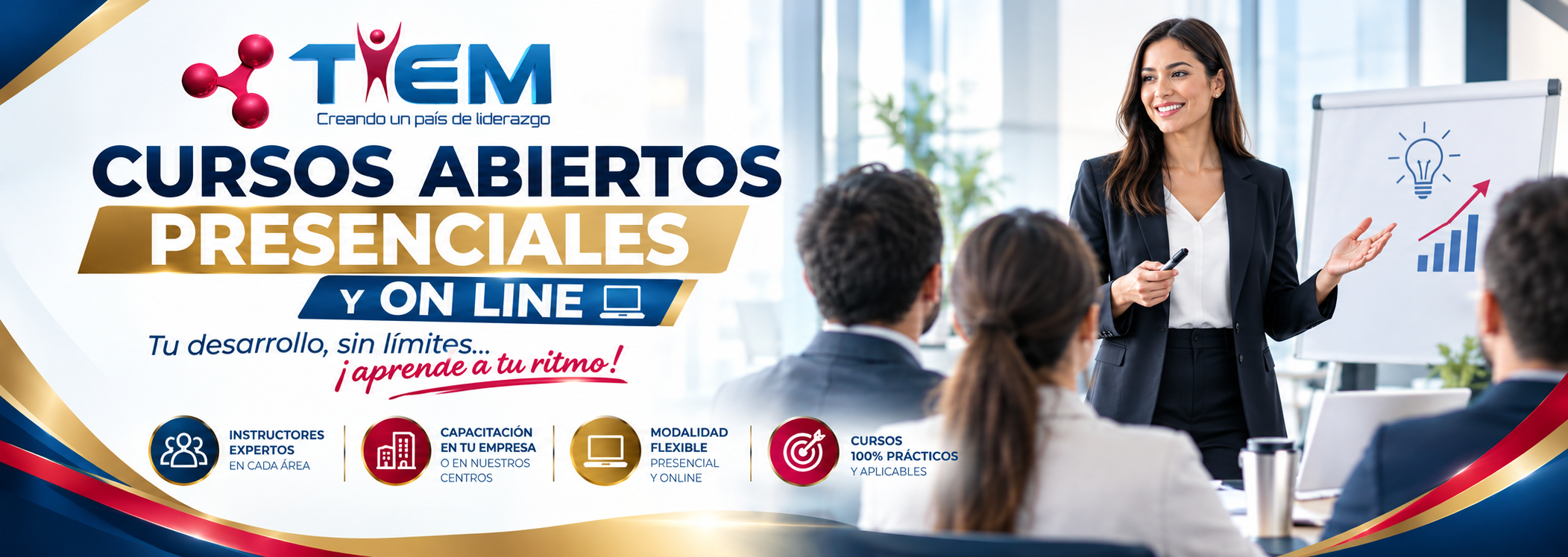 Imagen de presentación TIEM